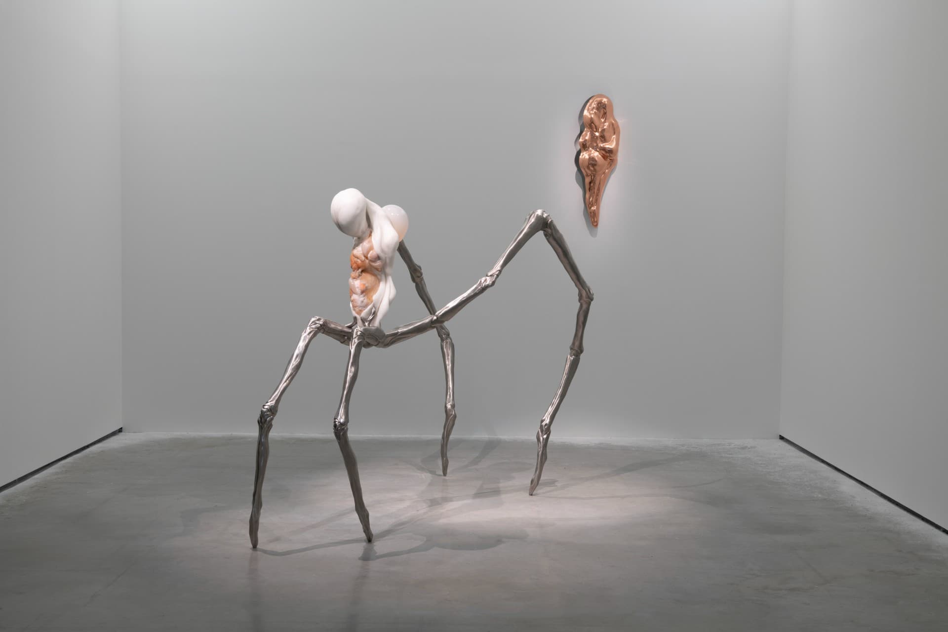 Metempsychosis installation view 4