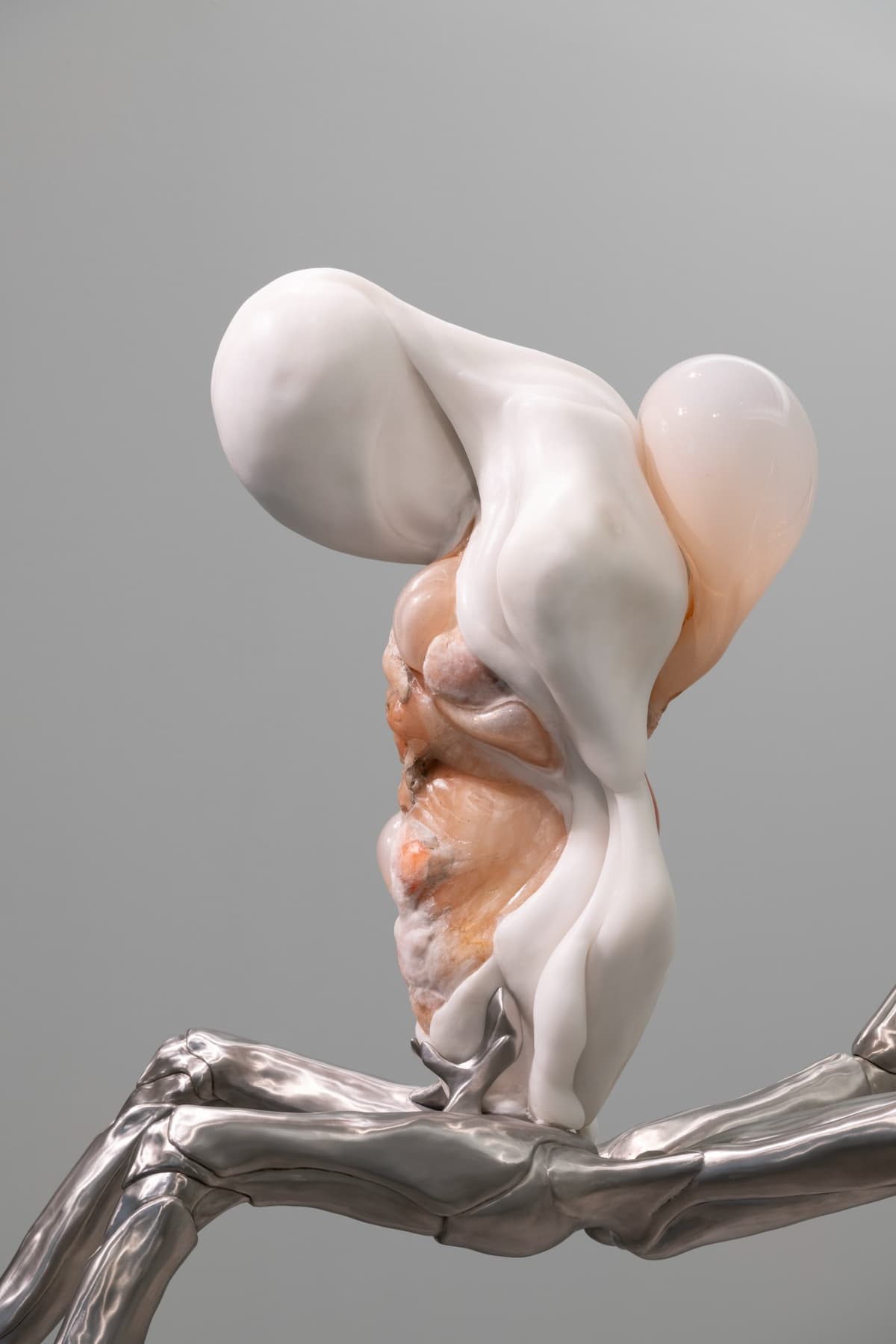 Metempsychosis installation view 5