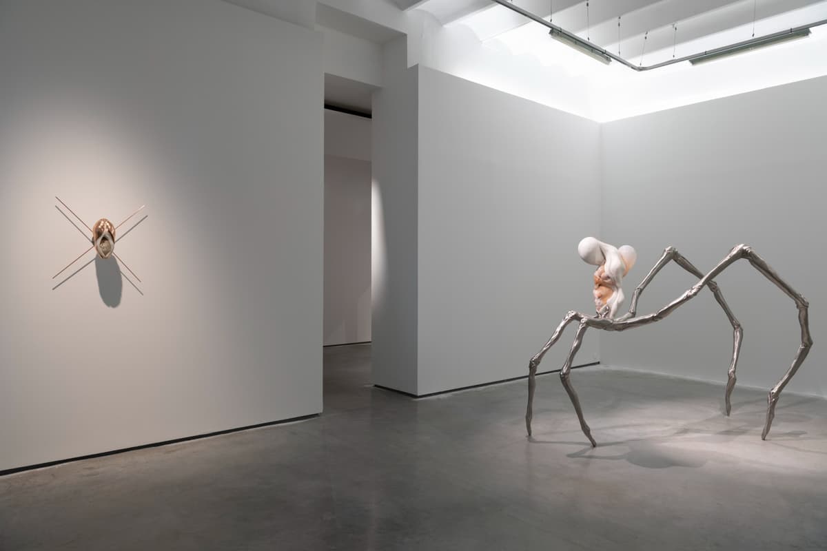 Metempsychosis installation view 7