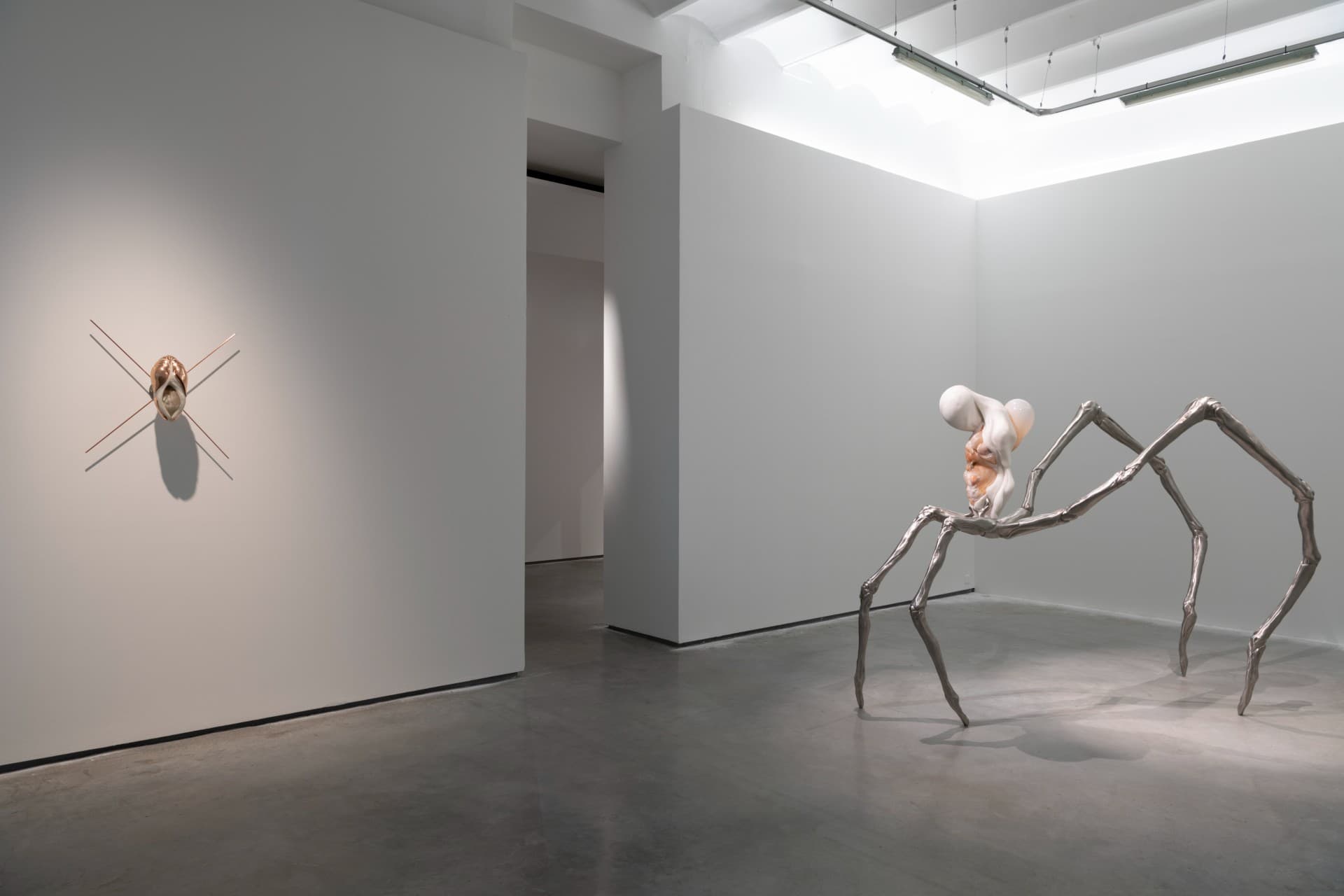 Metempsychosis installation view 7