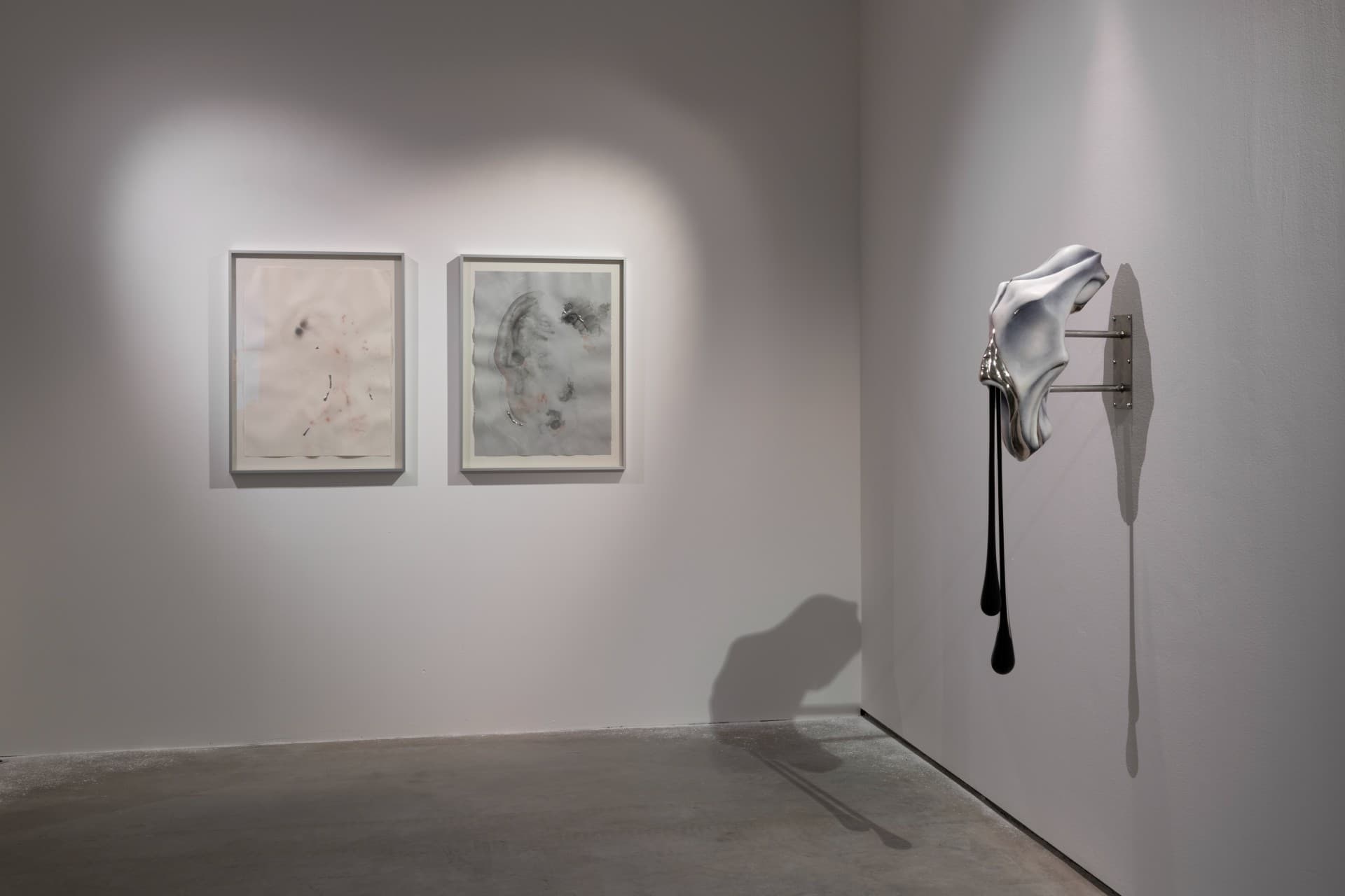 Metempsychosis installation view 9