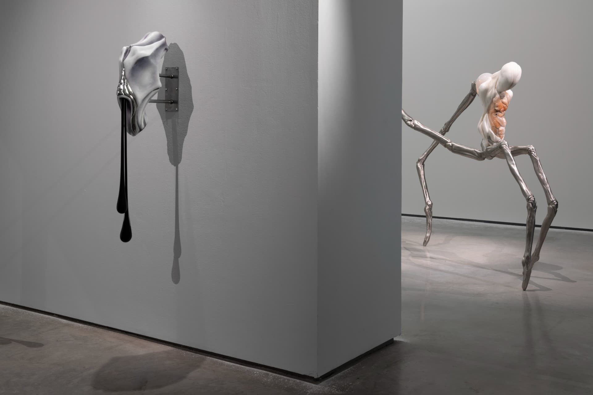 Metempsychosis installation view 11