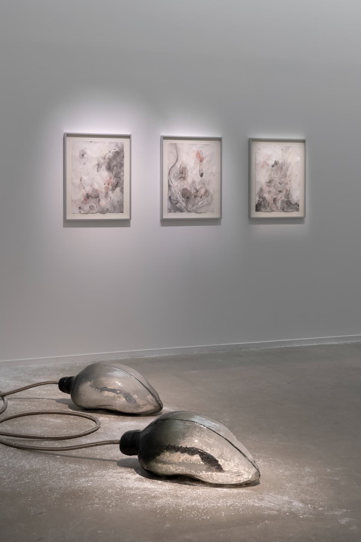 Metempsychosis installation view 17