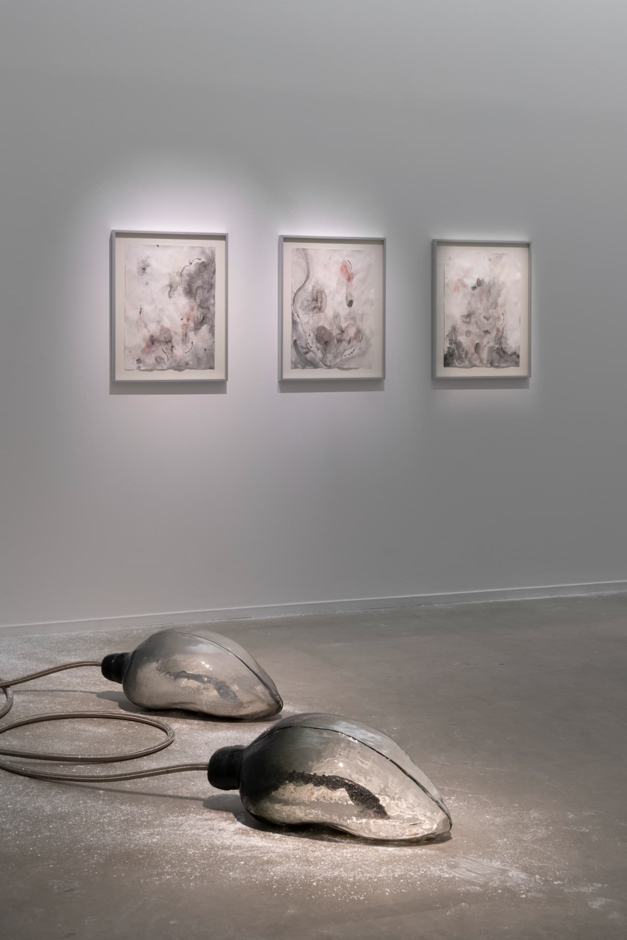 Metempsychosis installation view 17