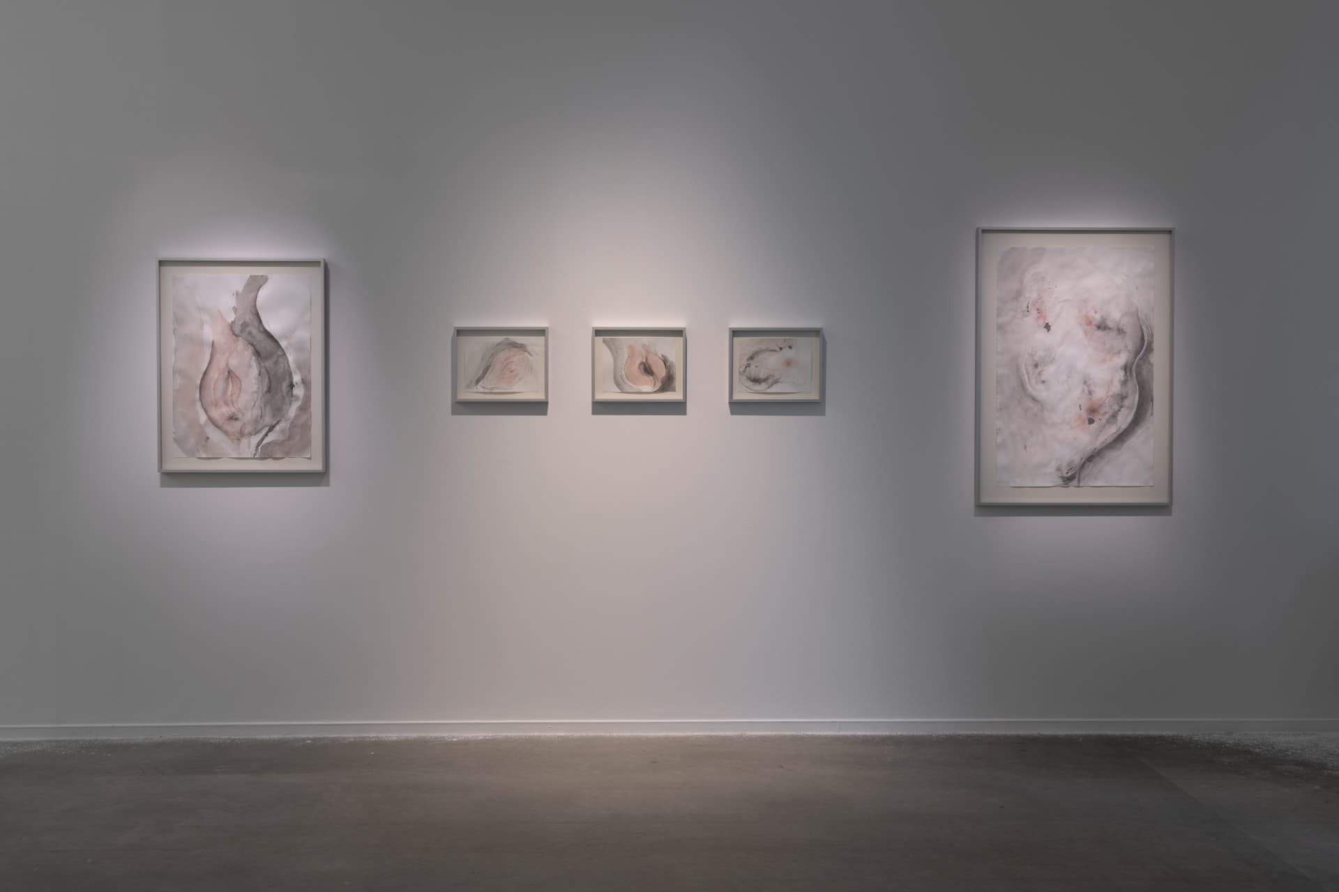 Metempsychosis installation view 19