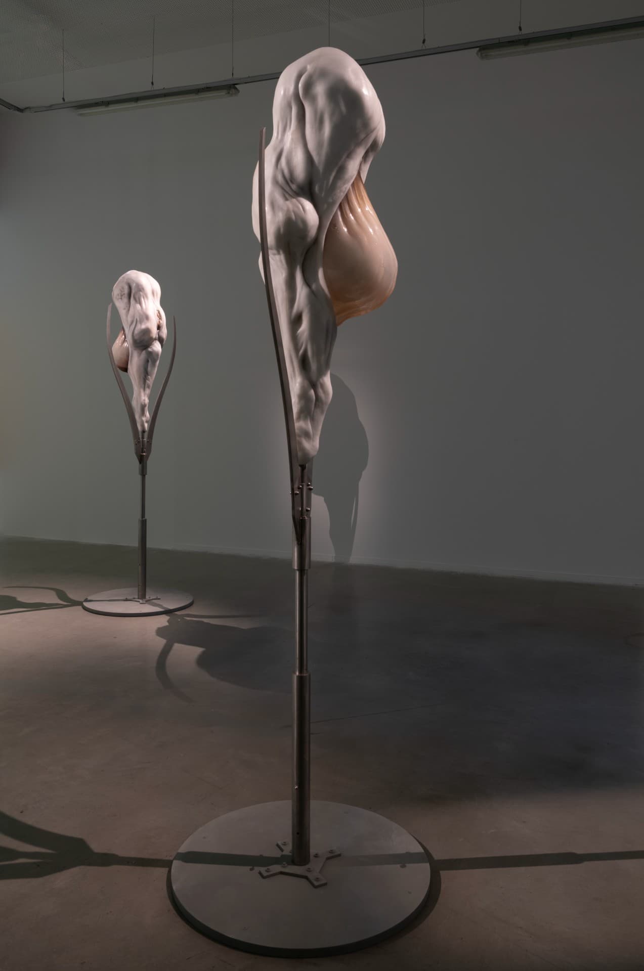Metempsychosis installation view 21