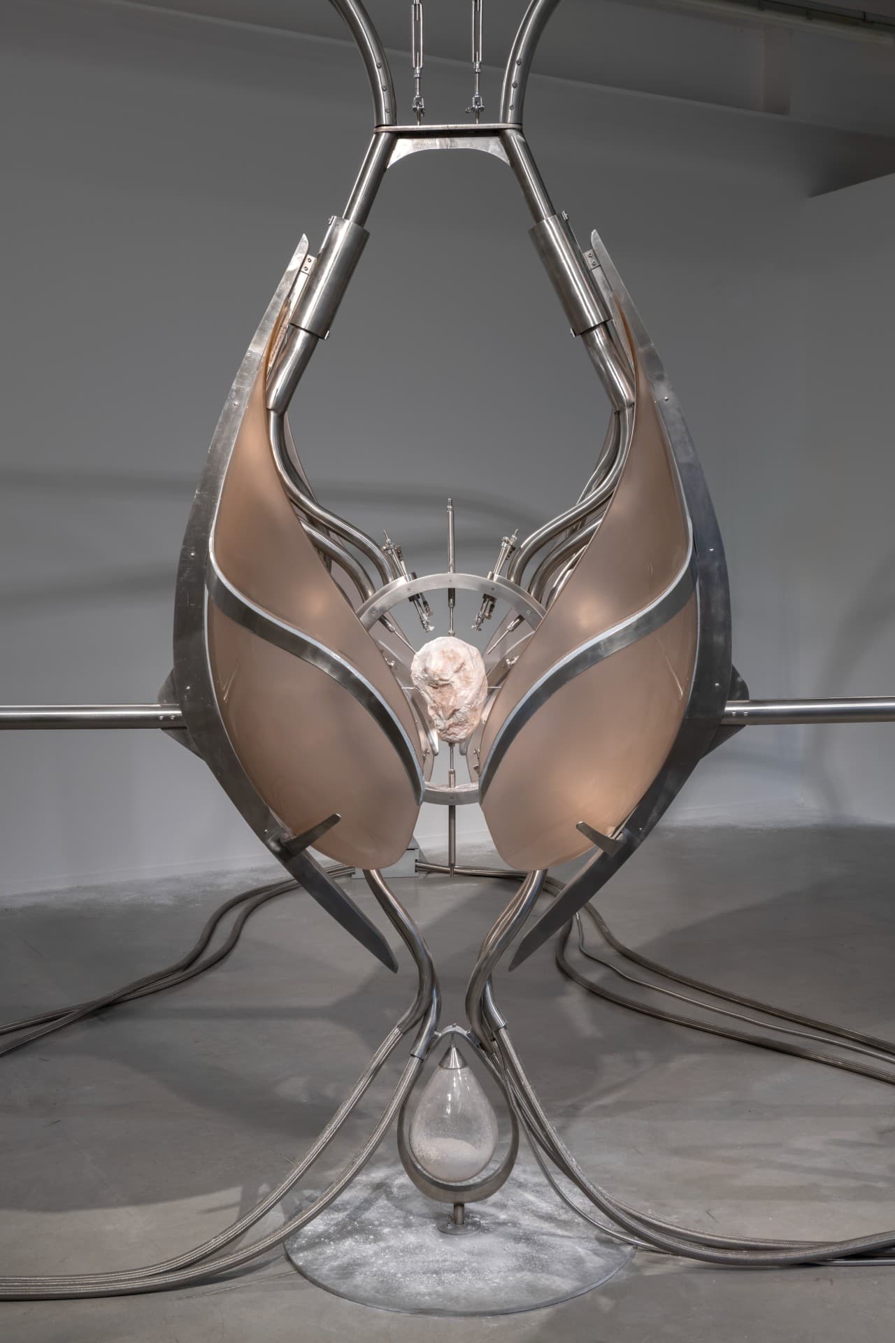 Metempsychosis installation view 25