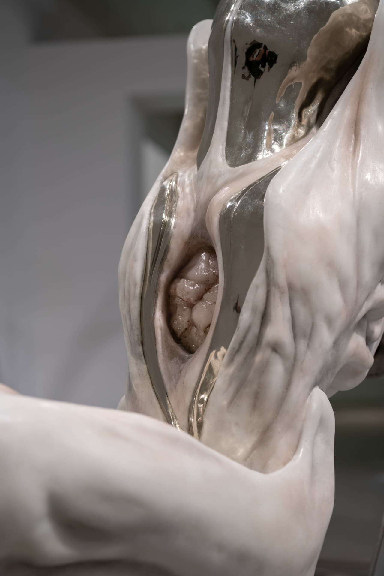 Metempsychosis installation view 27