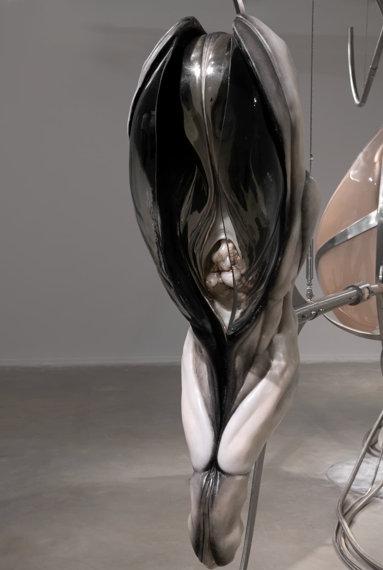 Metempsychosis installation view 29