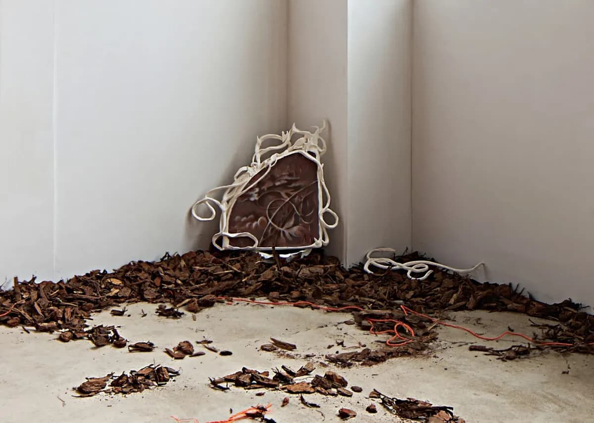 Tangerine Reverie installation view 9