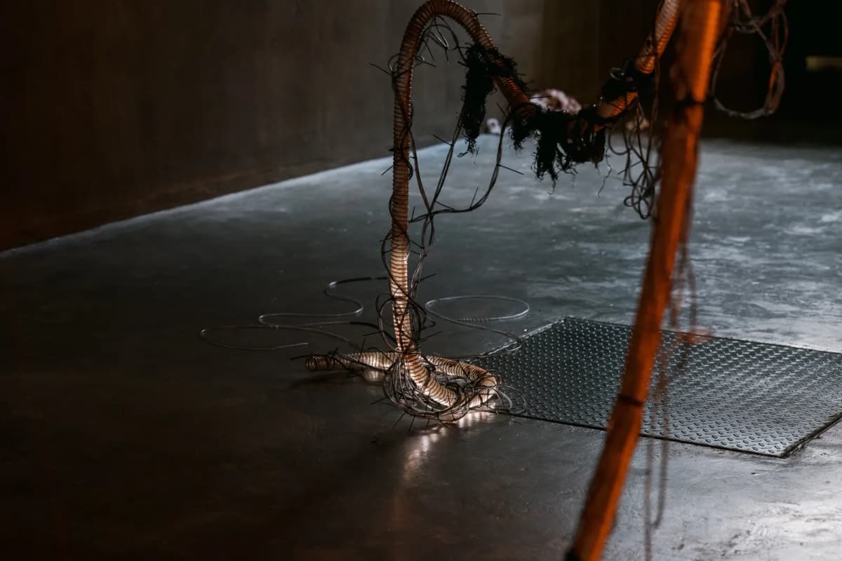 The Creeper in the Dusk installation view 11