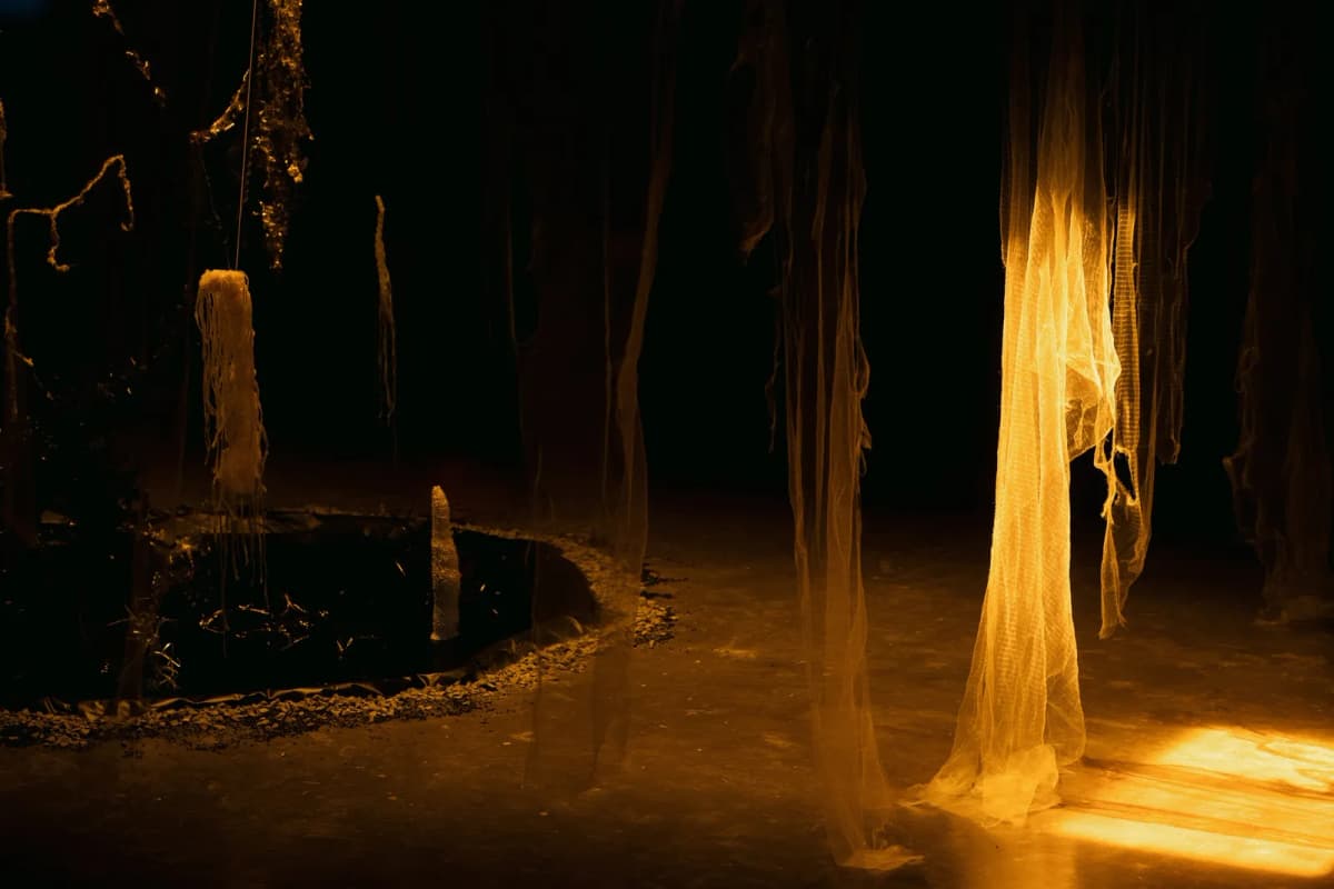 The Creeper in the Dusk installation view 4