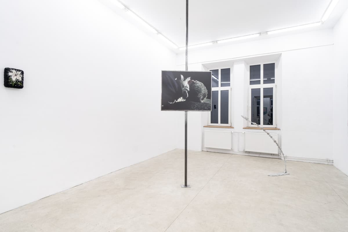 The Shape of a Scar installation view 4