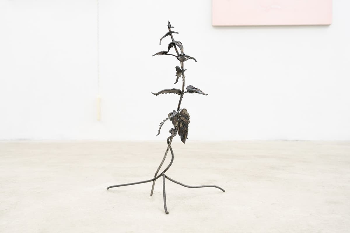 The Shape of a Scar installation view 18