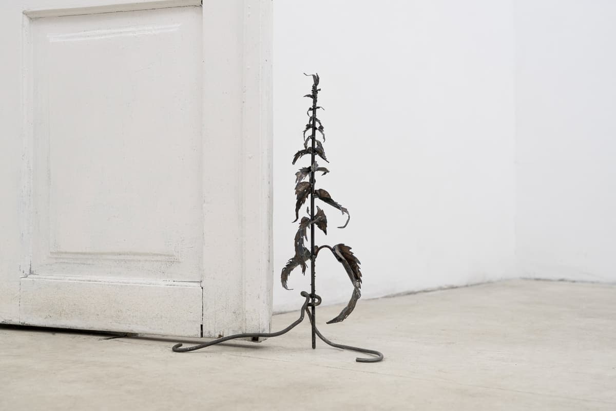The Shape of a Scar installation view 19