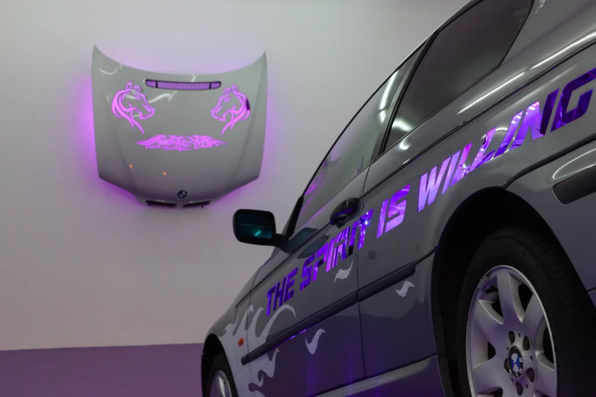THE SPIRIT IS WILLING BUT THE FLESH IS WEAK installation view 4