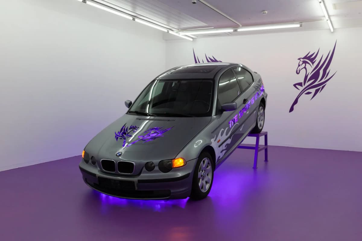 THE SPIRIT IS WILLING BUT THE FLESH IS WEAK installation view 5