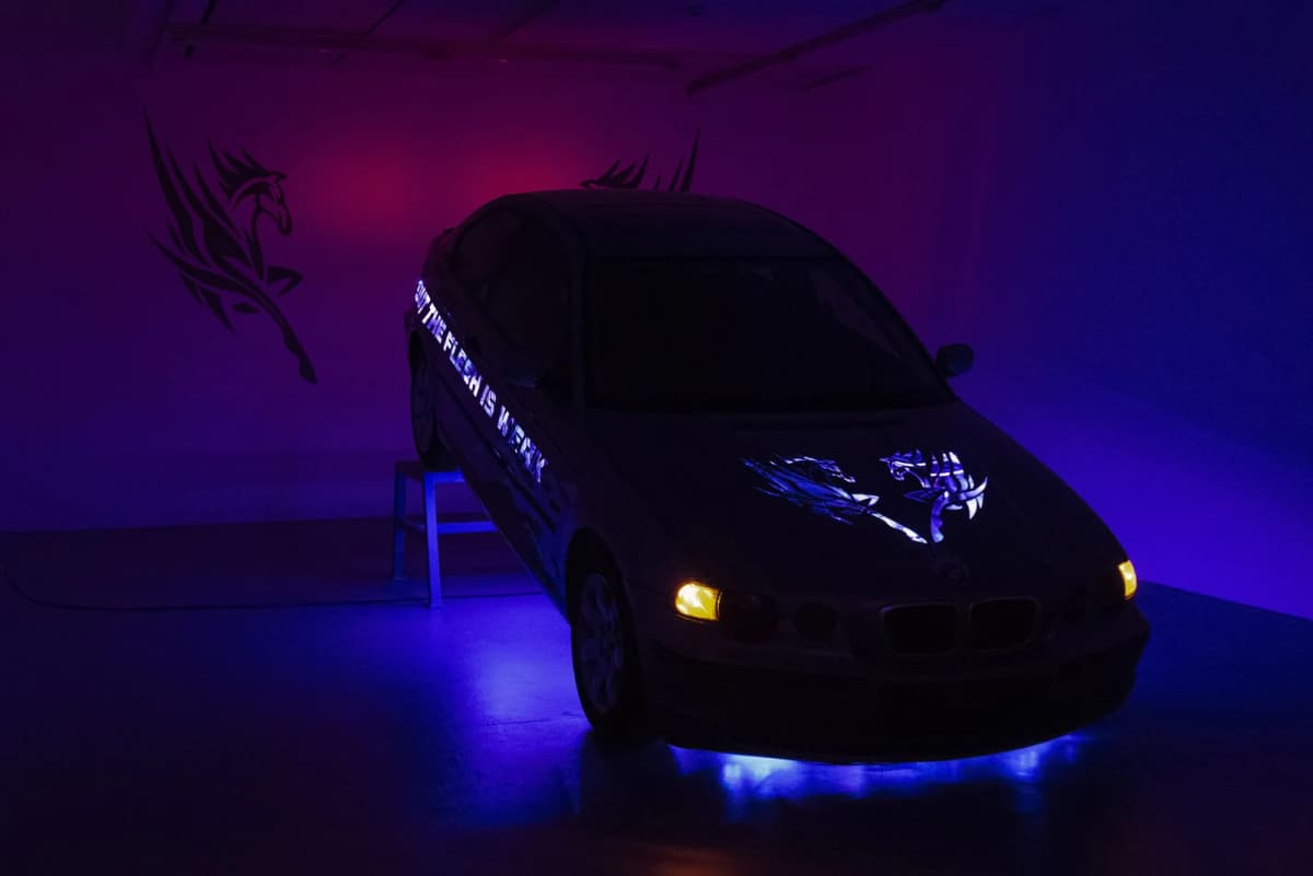 THE SPIRIT IS WILLING BUT THE FLESH IS WEAK installation view 6