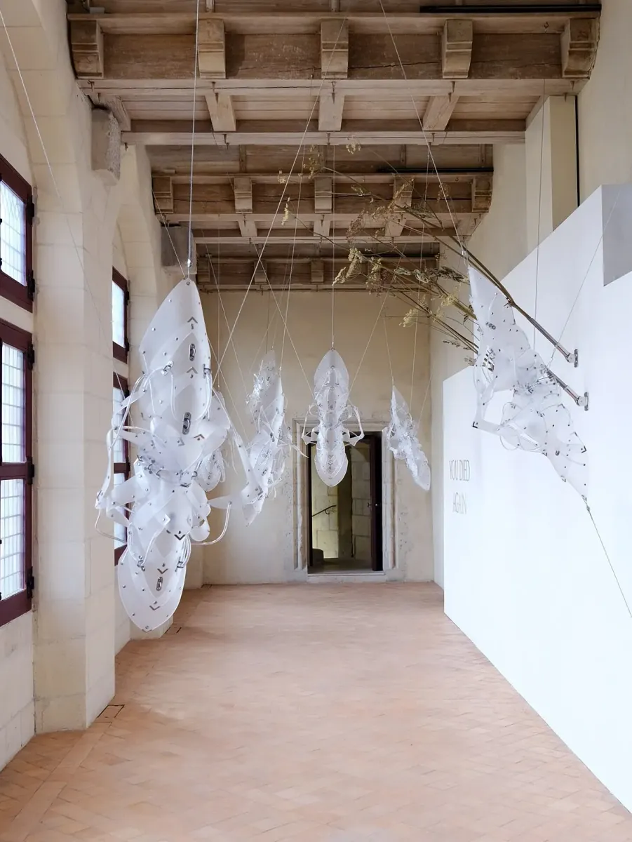 The Stasis Garden (or Pixies Memories) exhibition view
