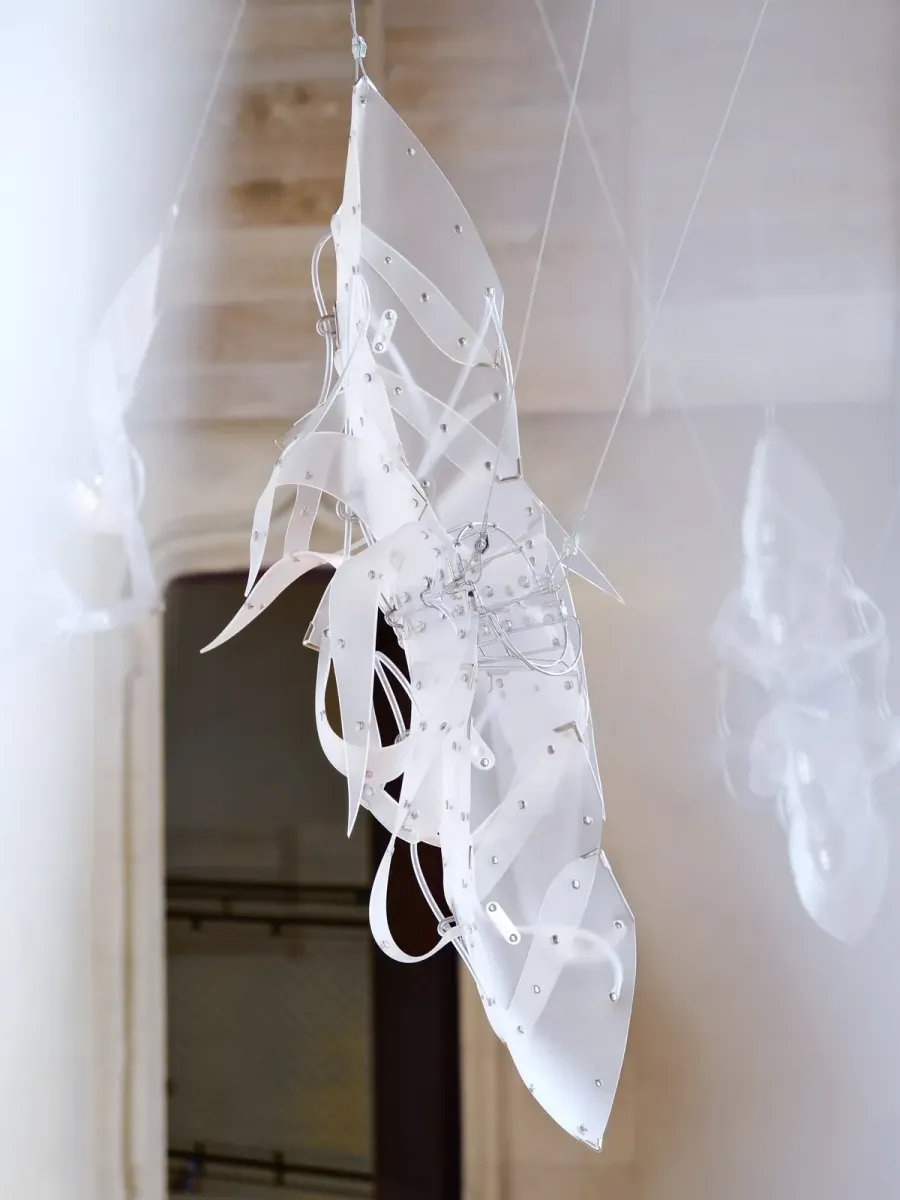 The Stasis Garden (or Pixies Memories) installation view 5