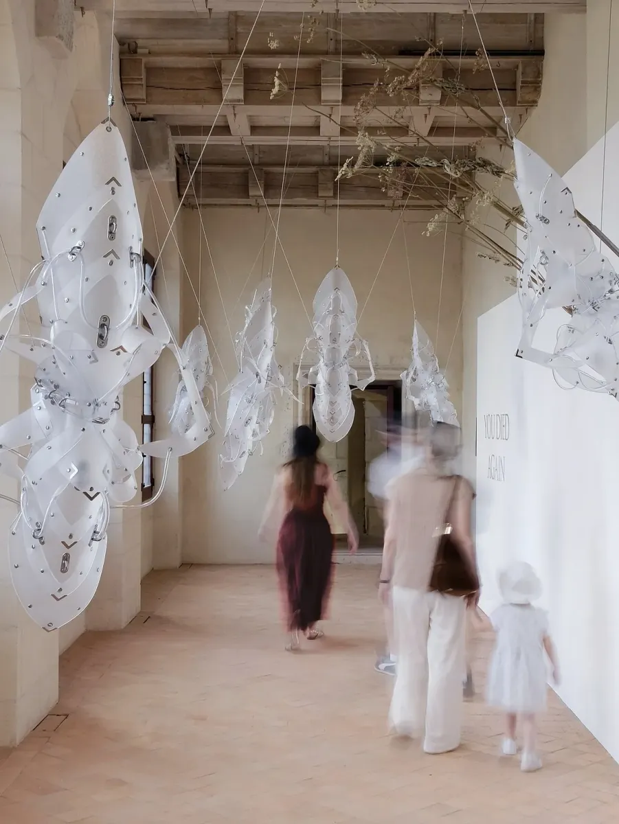 The Stasis Garden (or Pixies Memories) installation view 6