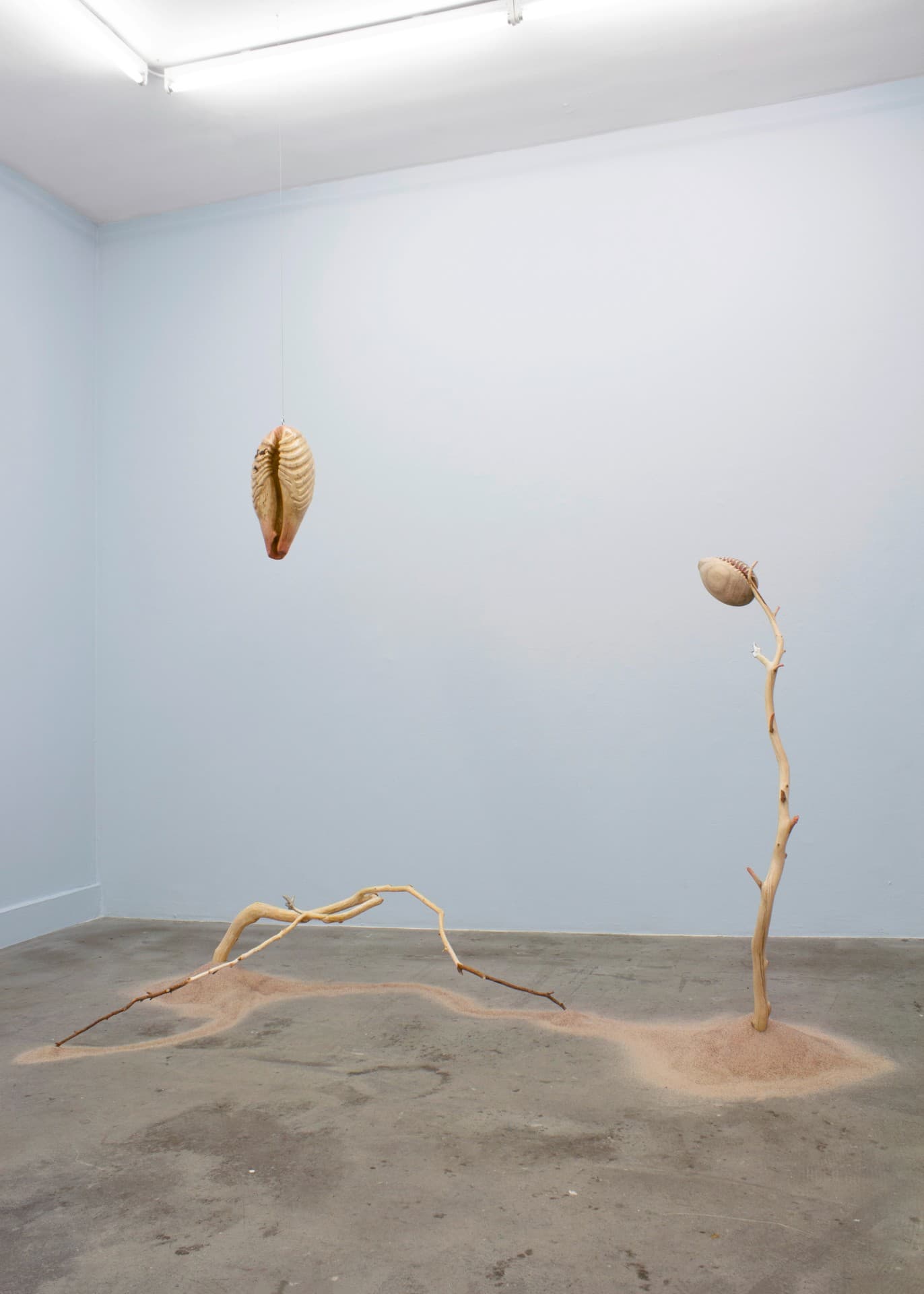 Tomorrow's Forecast, White Clouds Grey Dogs installation view 2
