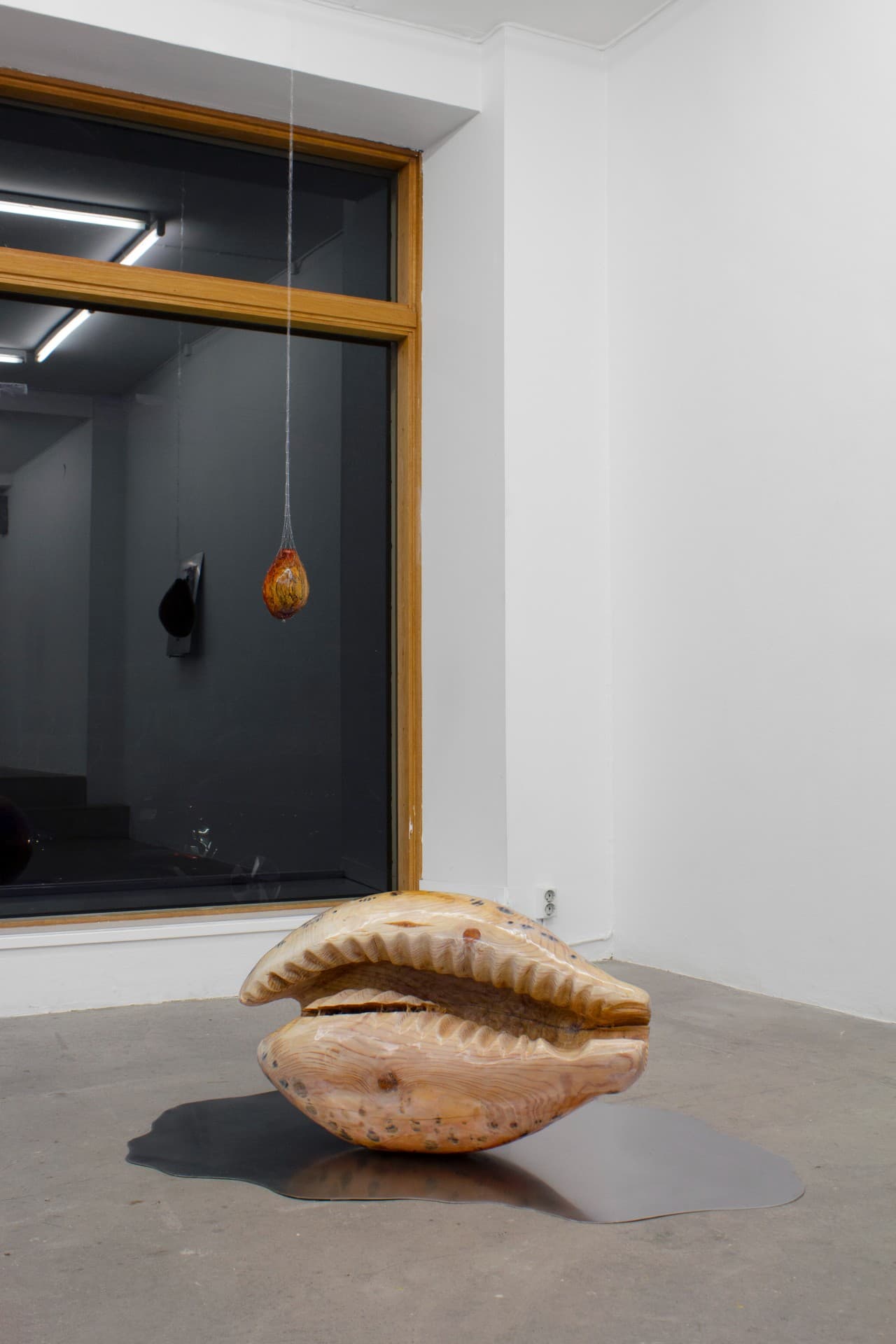 Tomorrow's Forecast, White Clouds Grey Dogs installation view 9