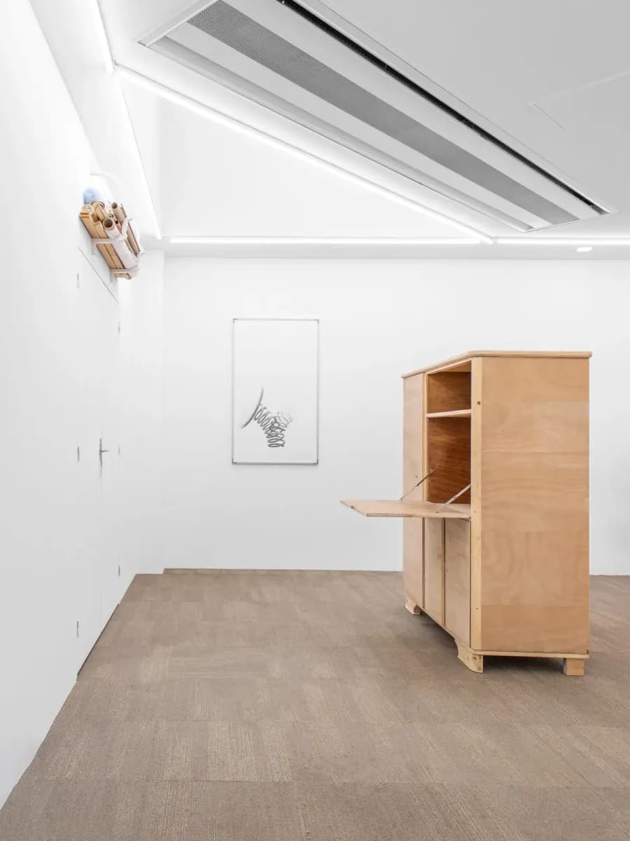 What We See, What Looks Back at Us installation view 7