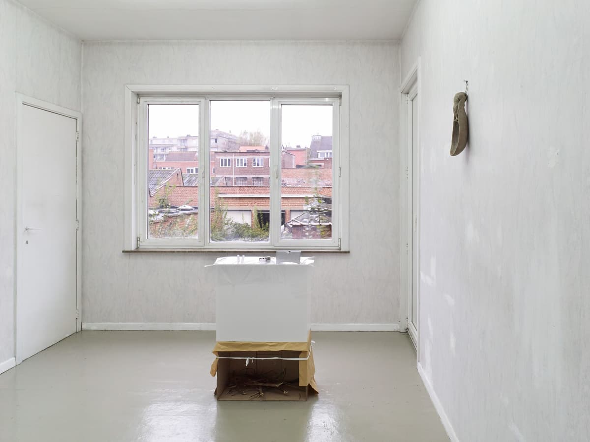 Work Of Proof installation view 2