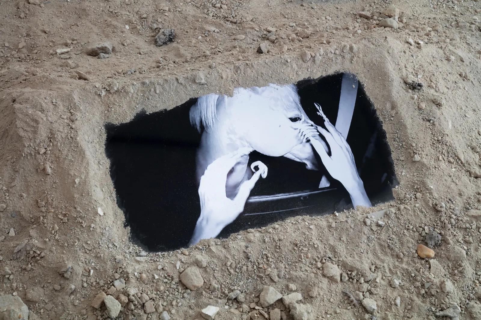 Ancient Girl Starter Pack installation view 5