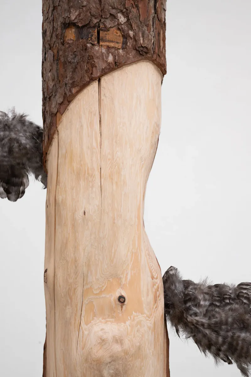 OLD SNAG installation view 2