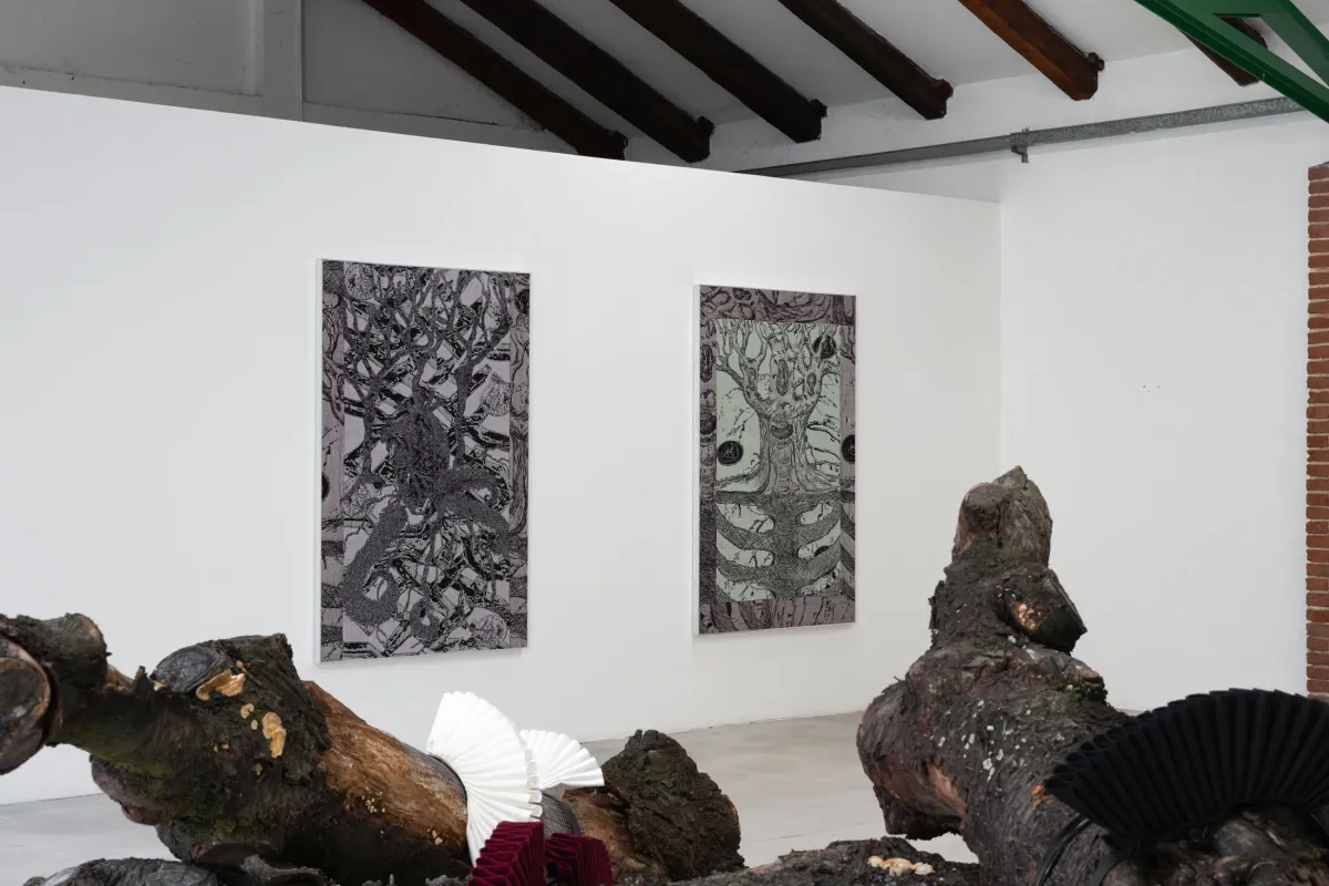 OLD SNAG installation view 7