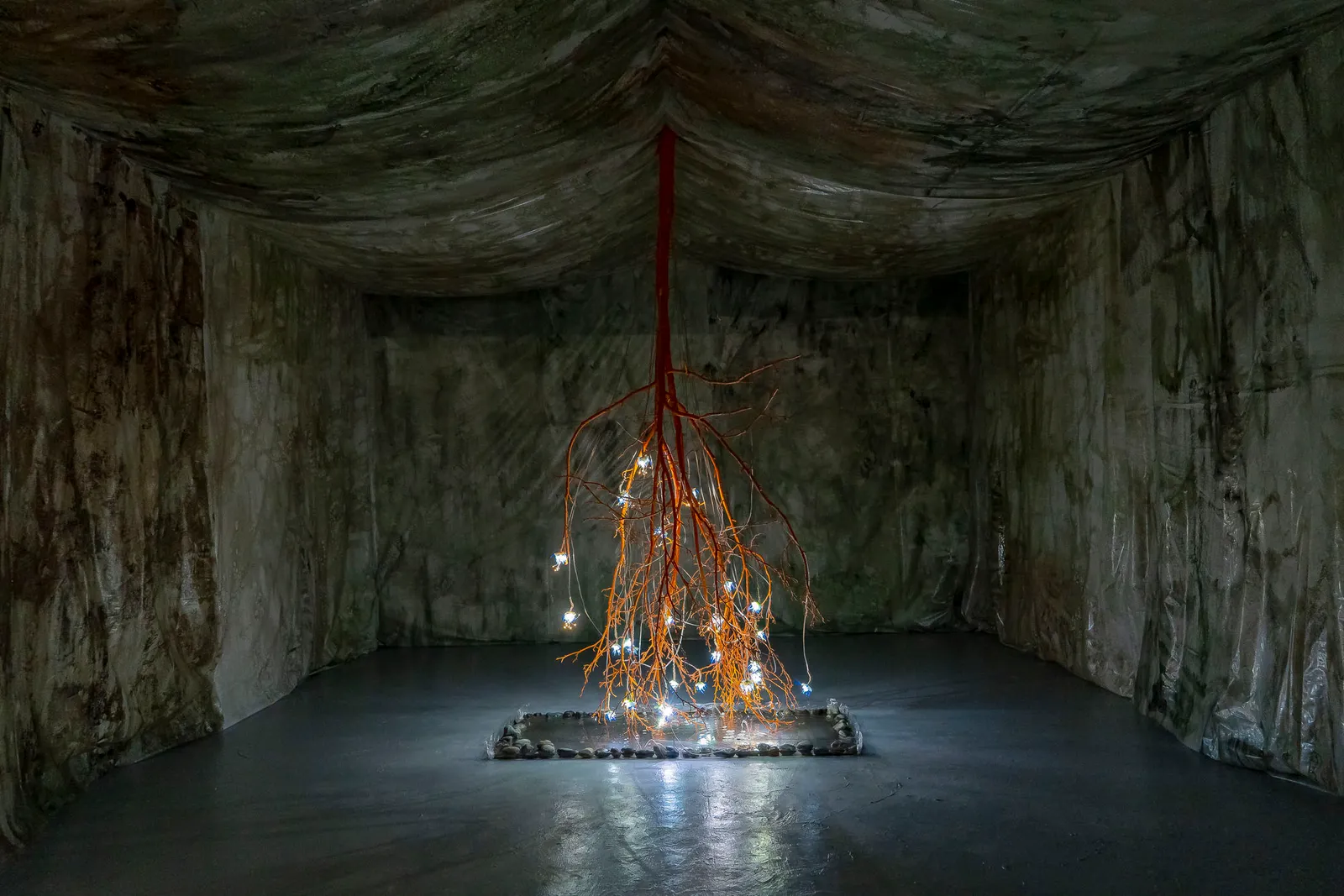 Rama torcida installation view 17