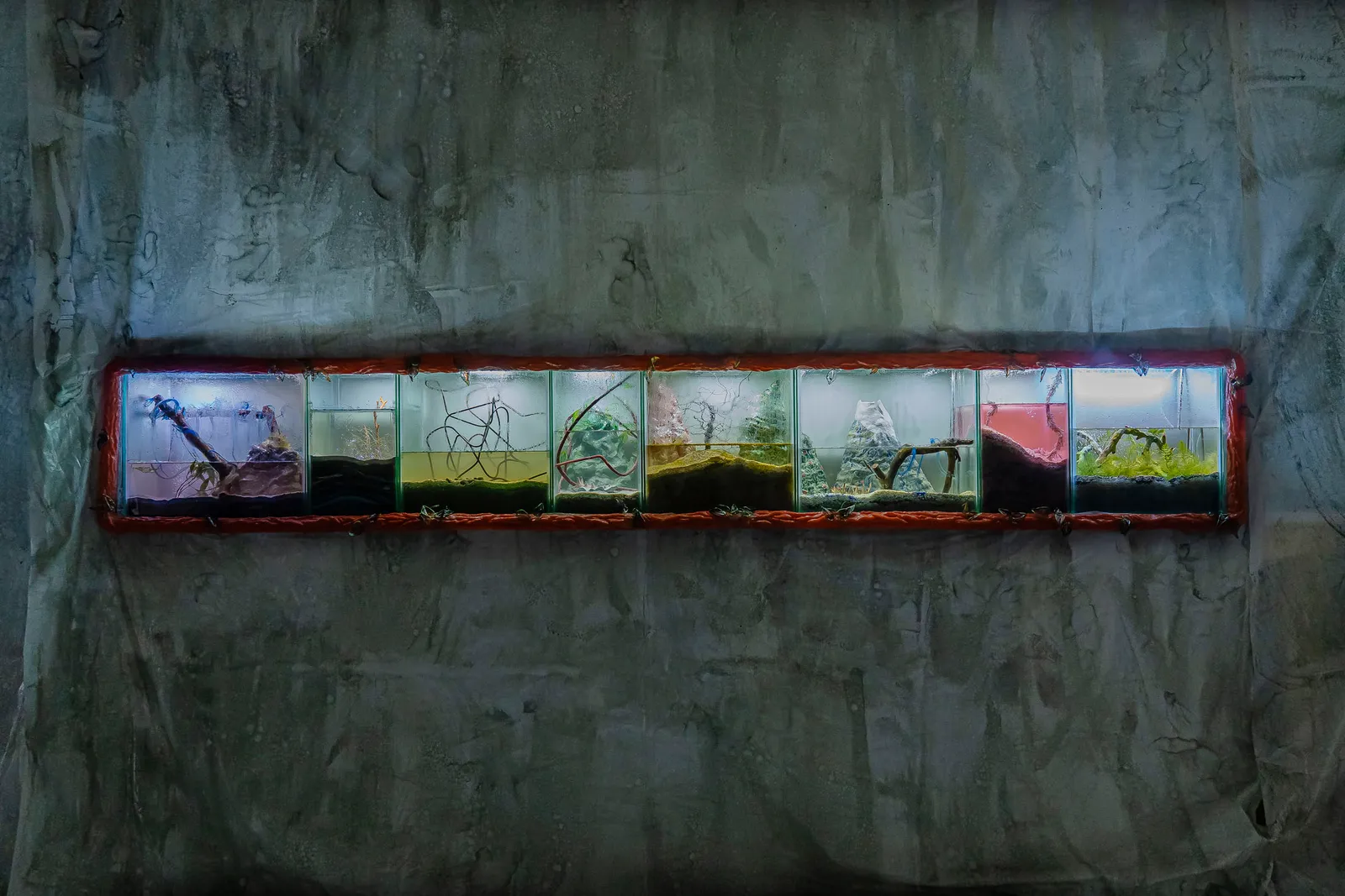 Rama torcida installation view 8