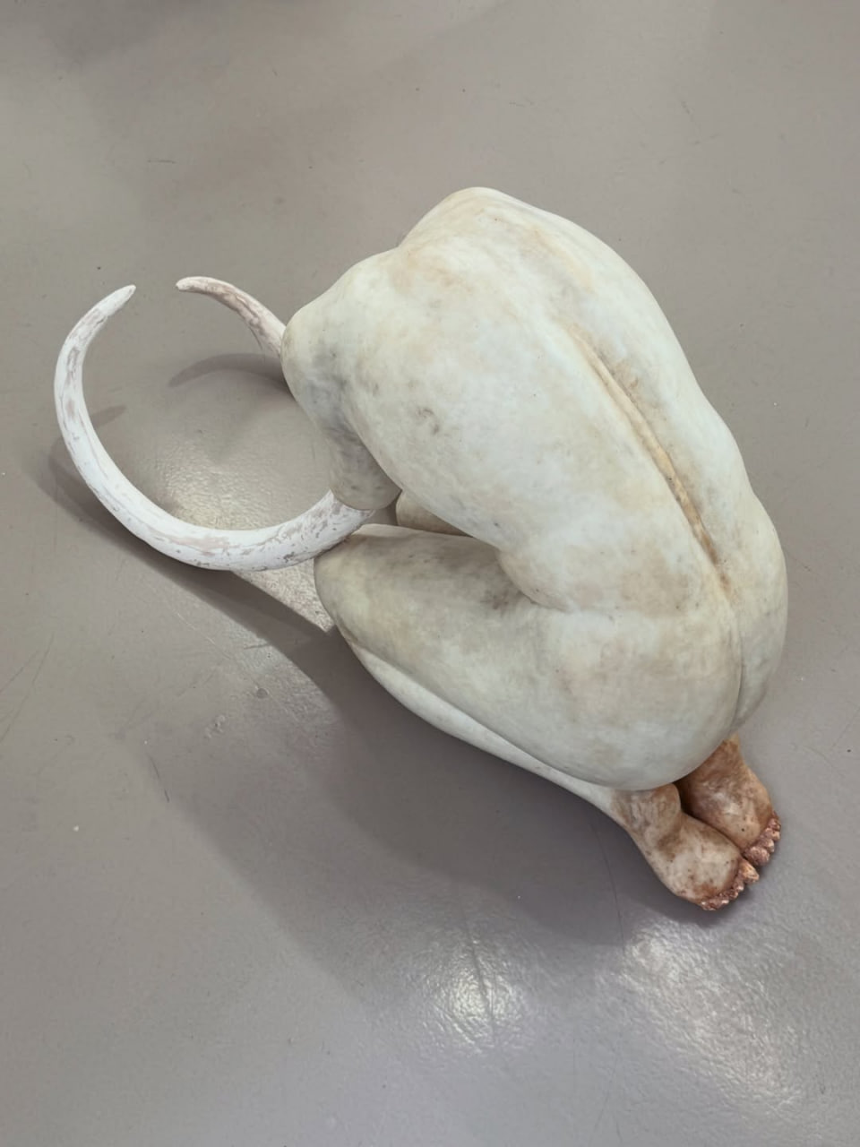 WHO COMPOSES THE SONG OF THE CRICKETS? installation view