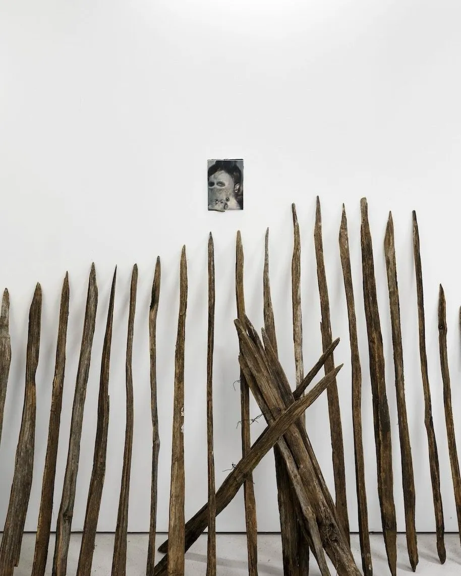 ACACIA BLOOM BY NIKA KUTATELADZE installation view 3