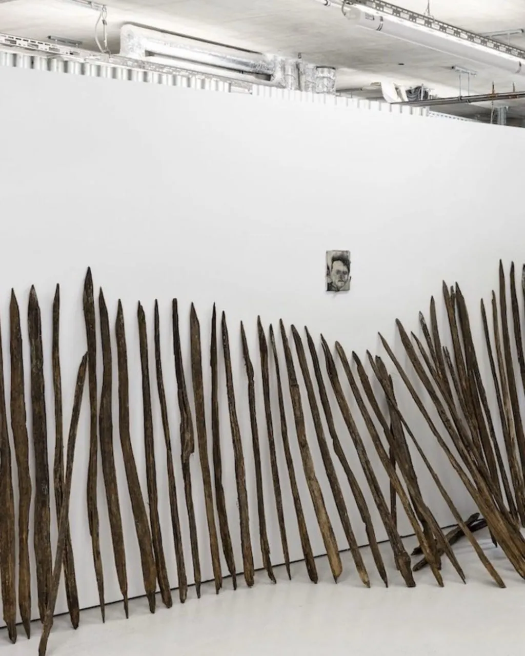 ACACIA BLOOM BY NIKA KUTATELADZE installation view 5