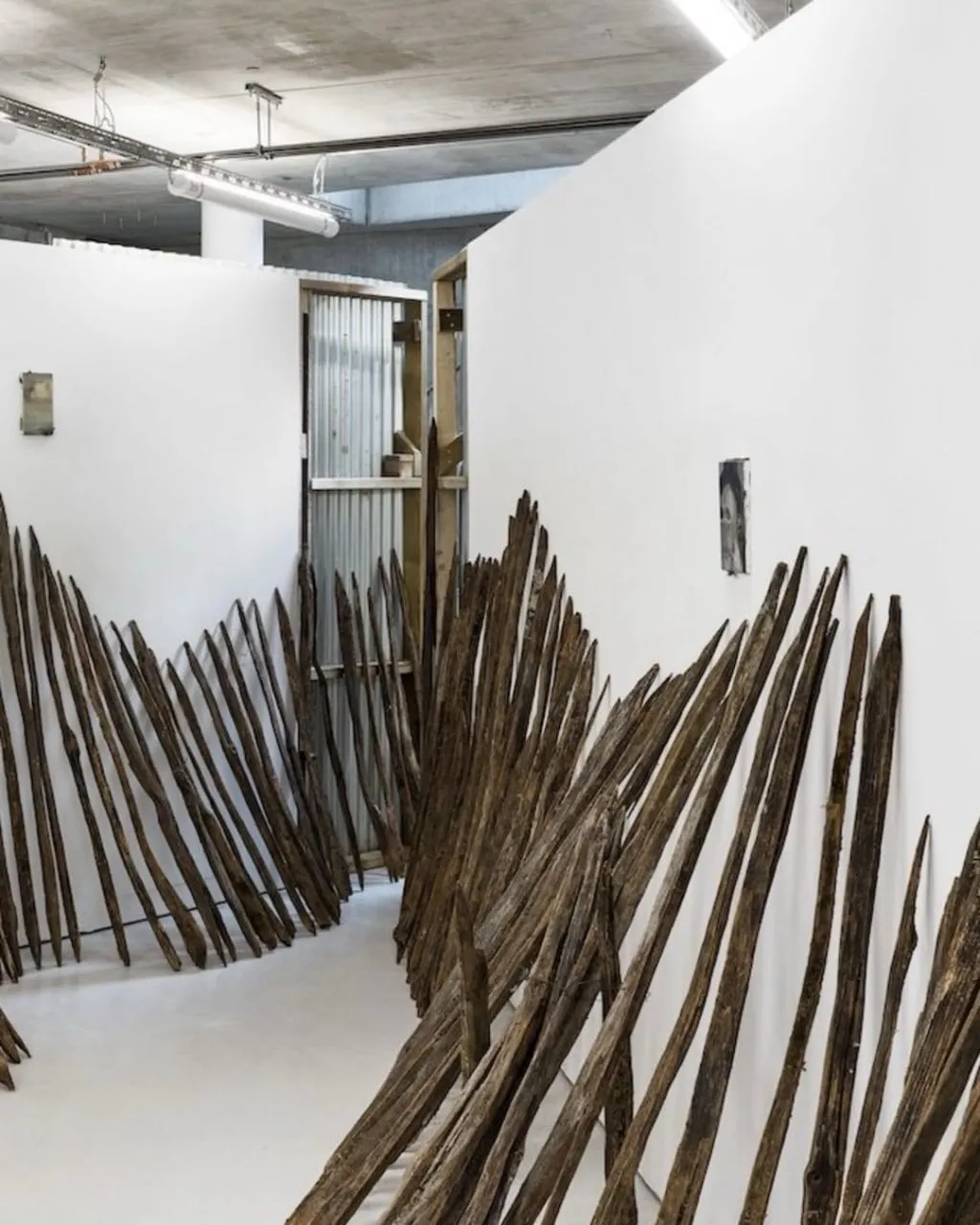 ACACIA BLOOM BY NIKA KUTATELADZE installation view 6