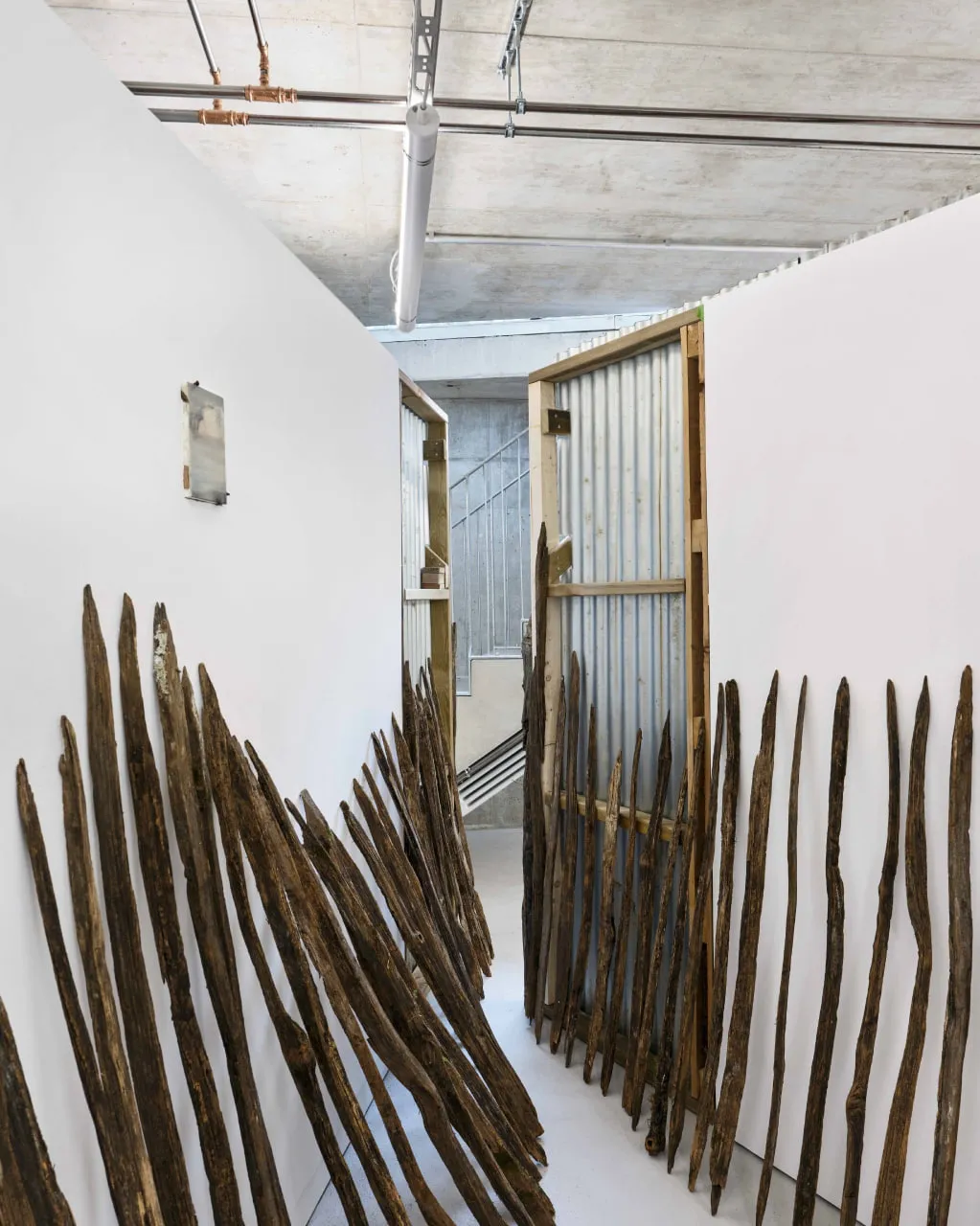 ACACIA BLOOM BY NIKA KUTATELADZE installation view 7