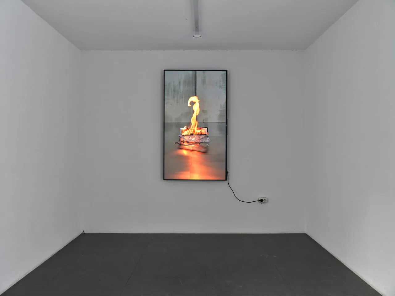 CHRONIC INFLAMMATION BY EMMA ADLER installation view 5