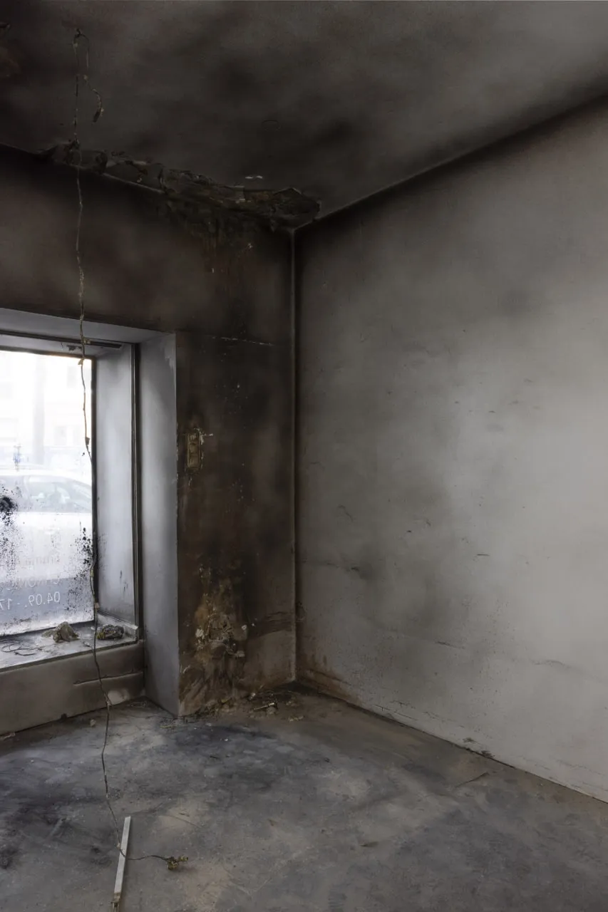 CHRONIC INFLAMMATION BY EMMA ADLER installation view 8