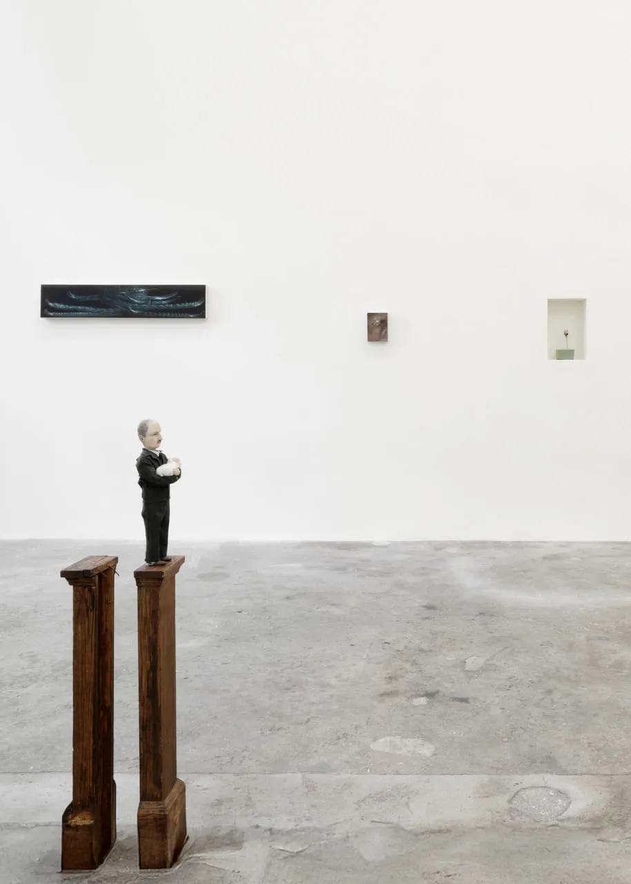 COMMON SKIN FANTASY BY ALICIA BILBAO AND ALEJANDRA MOROS installation view 3