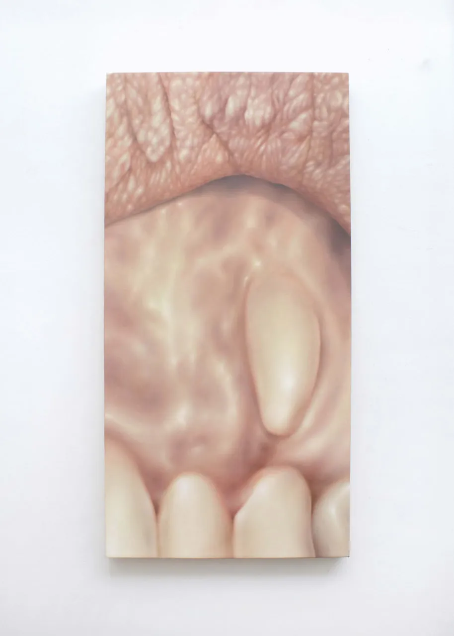 COMMON SKIN FANTASY BY ALICIA BILBAO AND ALEJANDRA MOROS installation view 7