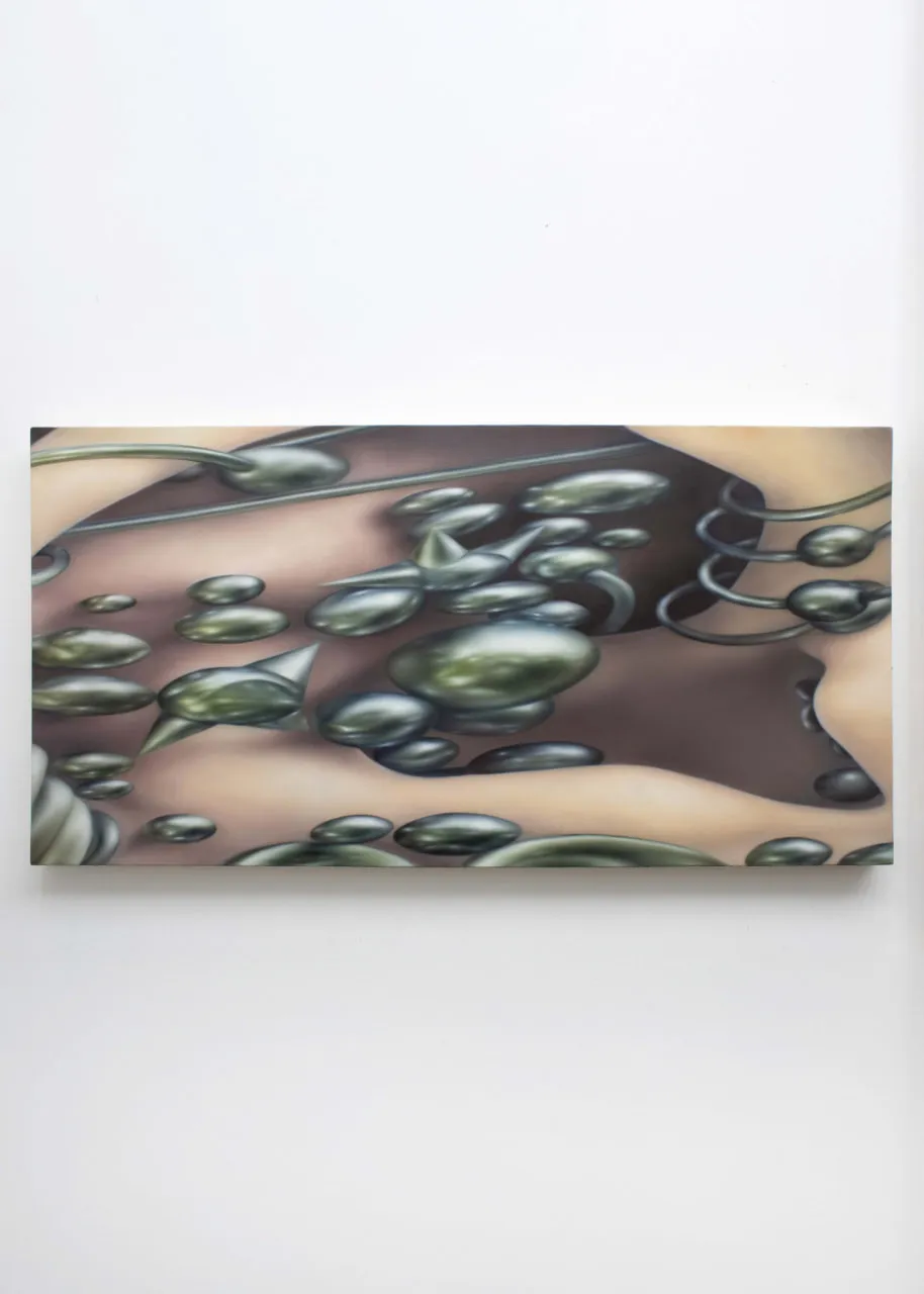 COMMON SKIN FANTASY BY ALICIA BILBAO AND ALEJANDRA MOROS installation view 8