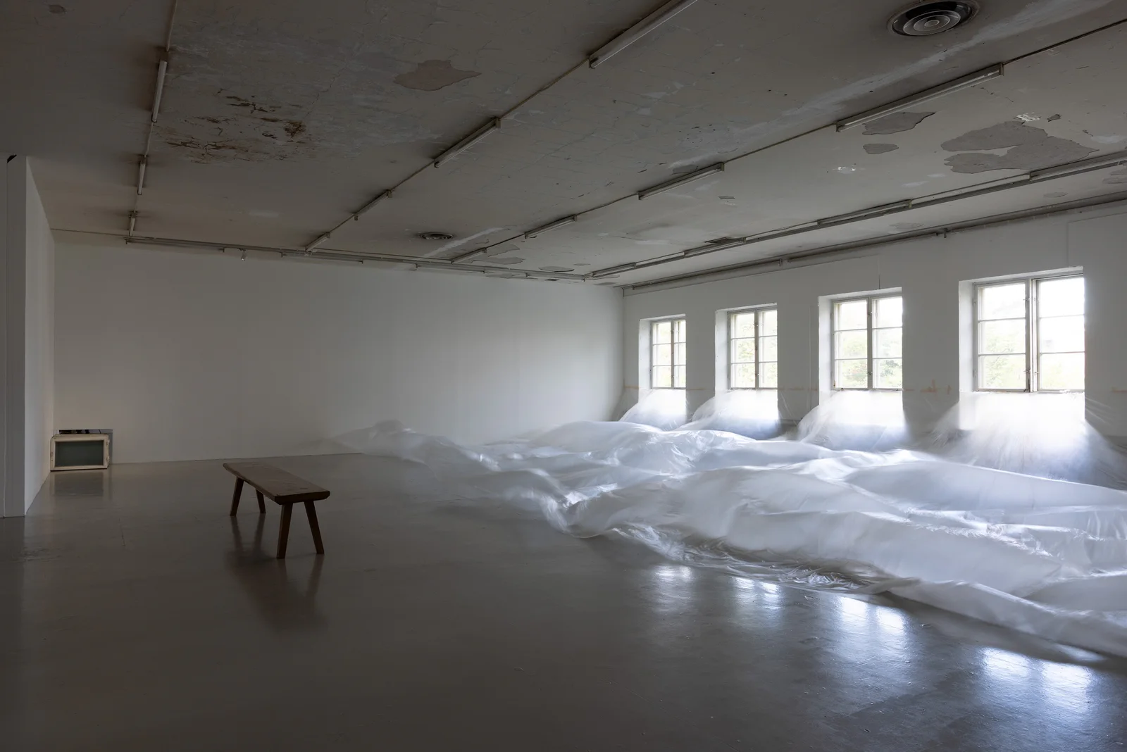 Dog and Angel installation view 2