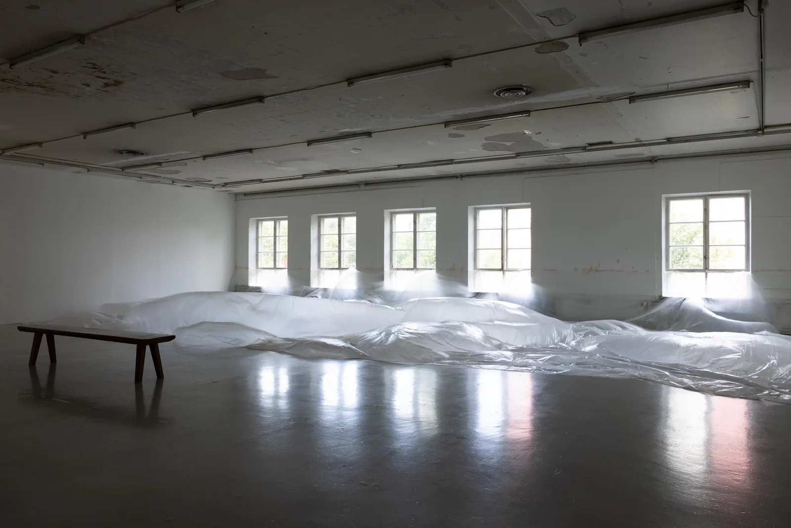 Dog and Angel installation view 3