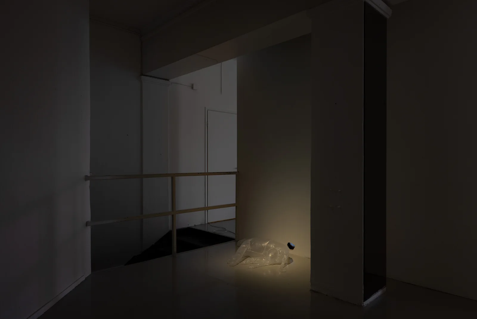 Dog and Angel installation view 6