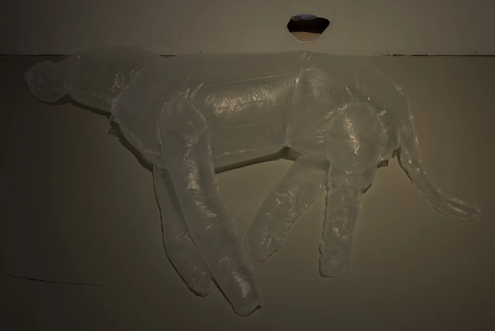 Dog and Angel installation view 7