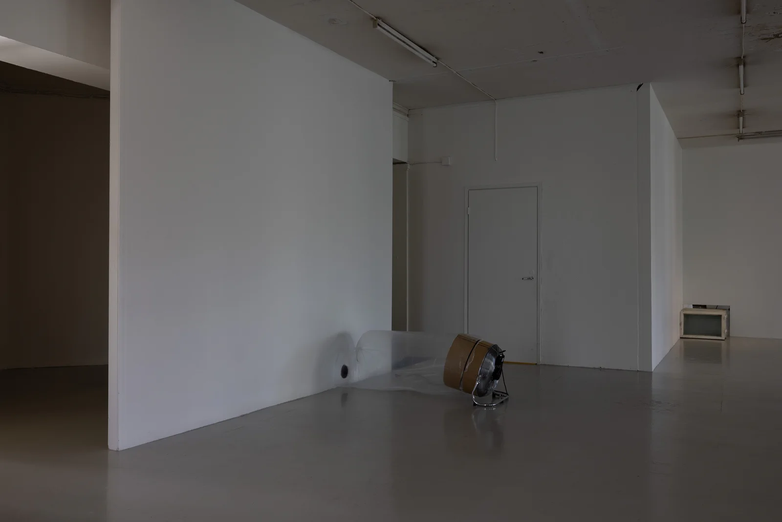 Dog and Angel installation view 9