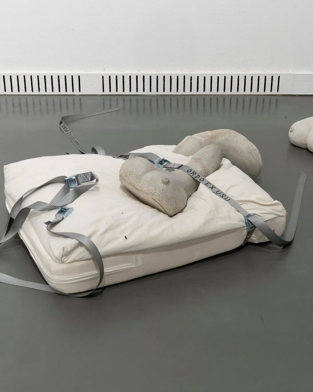 fight or flight: SEX installation view 8